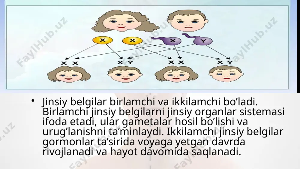 jins genetikasi. 10 - sinf - Page 4