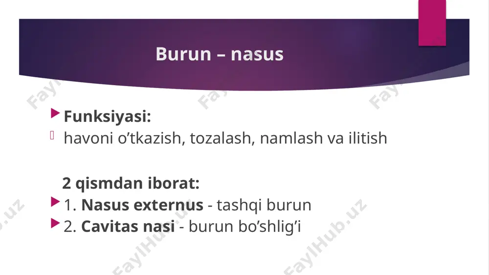 nafas olish sistemasi tuzulishi - Page 3