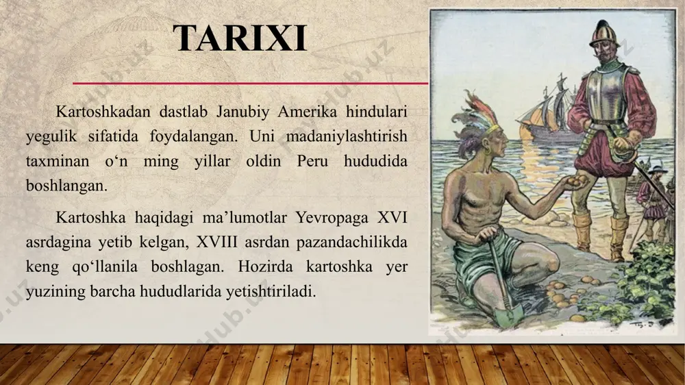 rtoshka (16–18 % kraxmal) ni esa uzoqroq pishirish talab etiladi, undan asosan sho‘rva uchun foydalaniladi. kartoshka tarkibidagi foydali moddalarni saqlab qolish uchun ozroq suvda qaynatish kerak. demak, kartoshka tuproq unumdorligi yuqori bo‘lgan yerlarda yetishtirilganda tuganaklari tarkibidagi sifatini belgilovchi moddalar miqdori yuqori bo‘ladi va bunday moddalar asosan tuganaklarida tuplanadi. kartoshka tuganagining kimyoviy tarkibi va turli qismlarida taqsimlanishi kartoshka uglevodlar (kraxmal, sellyuloza), oqsil, с, b1, b2, b3, b6, fosfor, kaliy, magniy, kalsiy, rux moddalariga boy. oqsilning deyarli barchasi po‘st ostidagi yupqa qatlamda to‘planadi. vitaminlar kartoshka tuganaklarida kraxmalni hosil bo‘lishiga ta’sir etuvchi omillar kuzda, qishda yoki erta bahorda ekilib yozning o‘rtasida pishib yetiladigan kartoshka tuganaklaridagi kraxmalning o‘zgarishi namlik, harorat va oziqa rejimiga bog‘liq ravishda o‘zgarib boradi. kartoshka ekini ekilib unib chiqqanidan toki pishib yetilishigacha namlik, harorat va oziq moddalarni yetarlicha talab qilib tuganaklarida tuplanayotgan va sifatini belgilovchi kraxmal miqdori ana shu omillarning yetarlicha bo‘lishligiga bog‘liq. kartoshka tarkibida kraxmal ko‘pligi uchun sekin hazm bo‘ladi, …