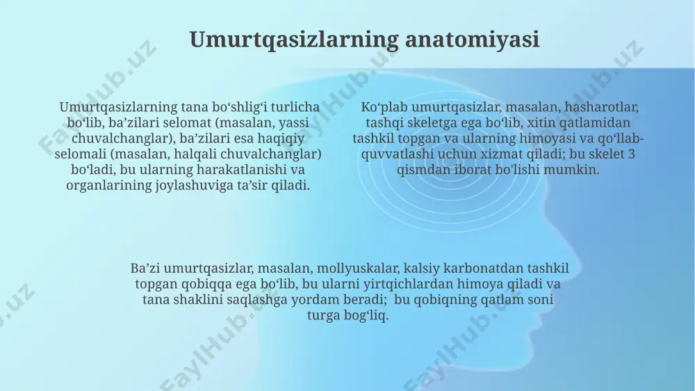 i nazorat qilishda muhim funksiyani bajaradilar, suvning tozaligini ta'minlashga hissa qo'shadilar. umurtqasizlar, xususan hasharotlar, oʻsimliklarning changlanishida muhim rol oʻynaydi, 80% dan ortiq gulli oʻsimliklar hasharotlar orqali changlanadi va bu oziq-ovqat xavfsizligi uchun juda muhim. qushlarning evolyutsiyasi arxeyopteriks kabi oraliq shakllar qushlarning reptiliyalar bilan boʻlgan evolyutsion aloqasini koʻrsatib, ularning skelet tuzilishi va patlarining rivojlanishini tasvirlaydi. qushlar, taxminan 150 million yil avval, dinozavrlarning teropod guruhi ichidan evolyutsiyalanib, parvoz qilish qobiliyatiga ega boʻlgan, patli, issiqqonli mavjudotlarga aylanishgan. zamonaviy qushlar taxminan 10,000 ga yaqin turga ega boʻlib, ularning morfologiyasi va ekologiyasi jihatidan juda xilma-xildir, bu ularning muvaffaqiyatli adaptatsiyasi va evolyutsion tarqalishini koʻrsatadi. umurtqasizlarning tasnifi umurtqasizlar 30 dan ortiq turkumga bo'linadi, ularning eng yiriklari – bo'g'imoyoqlilar (hasharotlar, o'rgimchaklar, qisqichbaqasimonlar), yumshoq tanlilar (salivyalar, mollyuskalar) va iplar (gidralar, meduzalar)dir. iplar suvdagi hayotga moslashgan va radiatsion simmetriyaga ega, 9000 ga yaqin turlari mavjud bo'lib, ularning ko'pchiligi dengizlarda yashaydi. bo'g'imoyoqlilar – yer yuzidagi eng ko'p tarqalgan umurtqasizlar guruhi bo'lib, …