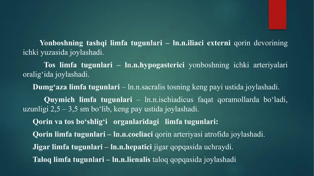 .cutaneus surae medialis larga tarmoqlanadi. bu nervlar boldir va tovon sohasini teri va muskullariga boradi. kichik boldir nervi – n.peroneus s. fibularis – bu nerv o‘z navbatida kichik boldirni yuza va chuqur nervlari – n.peroneus superficialis et profundus ga tarmoqlanadi, nervlar keyingi oyoqning boldir, tovon, kaft va barmoq sohalarini nervlar bilan ta'minlaydi. suyak – muskul tizimi. quyon suyaklari nozik bo‘lib, tana vazniga nisbatan faqat 7-8 % ni tashkil qiladi, bundan farqi o‘laroq mushuk skeleti 12-13 % ni tashkil qiladi. uzun suyaklarning devorlari odatda mushuknikidan yupqaroq, katta yoshli quyonlarda jismoniy harakat yo‘qligi va kalsiy kam istemol qilinganligi uchun qo‘shimcha osteoporoz rivojlanadi. quyonga qo‘pol haraktlarsiz yondashish lozim, chunki ziyod kuch ishlatilganda ularning suyaklari yoki umurtqa pog‘onasi lat eyishi mumkin. umurtqa pog‘onasining har bir qismida umurtqalar soni quyidagacha: c 7, t 12-13, l 7, s 4, cd 16. mavzu: mayda uy hayvonlari anatomiyasini o’rganish. • kurak suyagi ko‘proq uchburchak shaklda bo‘lib akromiondagi o‘simta …