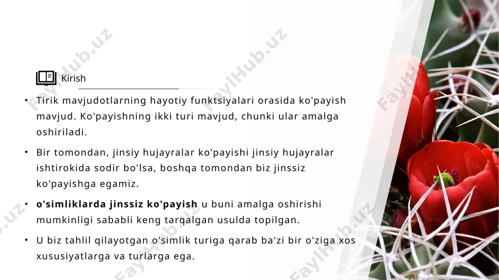 o'simliklarning jinssiz ko'payishi - Page 3