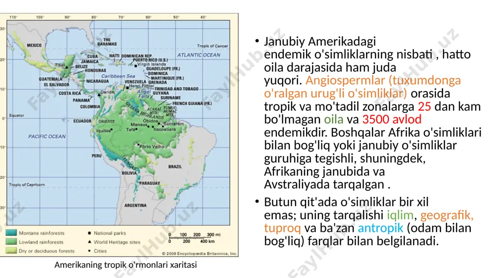 janubiy amerika flora va faunasi - Page 5