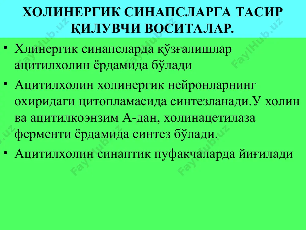ётда м-холиномиметиклар сифатида пилокарпин ва ацеклидин ишлатилади. пилокарпин — алкалоид pilocarpus pennatifolius jaborandi усимлигида сакланади. синтетик йул билан бу модда тайёрланган, метилимидазолин унуми. бевосита м-холиномиметик тасир курсатада ва вегетатив нерв толалари кузгалиш эффектини беради. (табл. 3.3).пилокарпин безлар фаолиятини кучайтиради. куз корачигини торайтиради ,ички куз босимини тушуради,аккомадацияни спазмини чакиради (см. рис. 3.7) амалиётда пилокарпин факат махаллий куз томчи сифатида глаукомани даволашда ишлатилади. умумий тасир килиш учун ишлатилмайди. ацеклидин — синтетик бевосита м-холиномиметик дори восита.махаллий ва умумий тасир килиш учун амалиётда ишлатилади. глаукома , ошкозон – ичак, пешоб, бачадон атонияларида кулланилади. м-холинорецепторларни блокловчи воситалар (м-холиноблокаторлар ёки атропинга ухшаш дори воситалар) м-холиноблокаторлар — бу моддалар м-холинорецепторларни блоклайди.уларни асосий эффектлари периферик м- холинорецепторларни , марказий нерв системасидаги м- холинорецепторларни блоклашига боглик. кимё тузулиши буйича улар 3 ламчи ва 4 ламчи аминлар . танлаб тасир килувчи м-холиноблокатор атропин - алкалоид, куйдаги усимликларда сакланади: красавке (atropa belladonna; рис. 3.8), белене (hyoscyamus niger), дурмане (datura stramonium).кимёвий бу …