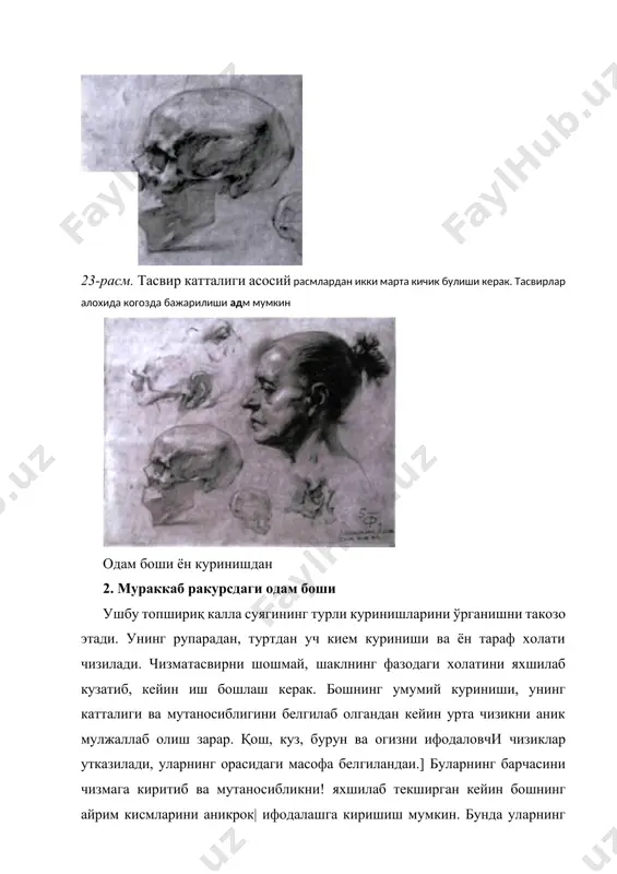 ани бажаришга киришишдан олдин натурадан коралама ишлаб урганишида коматнинг умумий характерини чизматасвир композициясини куришида ёрдам беради. чизматасвир иш бошидан чизматасвир бош, хул курилишини ва шакл беригага диққат каратилиб, натурачининг характерли деталларига акцент берилади. 29-расм. автопортрет р.ахмедов портретда кул бармоклари мухим ахамиятга эга. улар хам бош каби катта ахамиятга эга булиб, бетакрор индивидуал харак-терлидир. қўл оркали ёшини, касбини ва характерини очиб берилади. 30-расм. портрет кулларибилан 4. анатомик гипс нусха турли тарафдан. кўз, бурун, огиз, кулок кисмларининг нисбат улчамларини бош характерна мутаносиблигини топиш ва уларни аник ишлаб курсатиб бериш лозим. бош ва елка, гавда (торс) ва оёк-қўл орасидаги боғлиқликлар, нисбатларни тугри ва аник курсатиб, тасвирлаб бериш керак булади. жием ёритилганлик даражасисига эътибор берилади ва ёруглик юкори-йн томондан тушиши ва хосил булган сояда шакл яхши куриниши керак. гипсни шундай жойлаштириш керакки, бир-бири билан бутим ва пайлар оркали бириккан аяохида суяклардан ташкил топган коматни аник тасаввур этиш имконини беради. 31-раем. торс гипсда инсон танасининг …