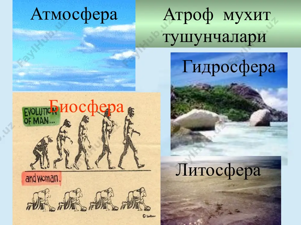 иясининг – 2 х 10 –9 қисмигина етиб келади қр сининг оптик қисми қуёш радиацияси оптик қисмининг таркиби: иқн –59% кўринувчи нурлар – 40% убн - 1% ер юзасига етиб келадиган куёш нурининг спектрал таркиби ва узунлиги инфракизил-59% кўзга кўринадиган 40 % ультрабинафша 1% узун киска узун ўртача киска 15000-4000 нм 4000-1500 нм 1500--390 нм 390-- 290 нм кичик куёш нурининг тери оркали ўтиш узунлиги (мм) инфракизил 20 гача кўзга кўринадиган 1-10 гача ультрабинафша 0,5 гача 1 юзаларнинг қуёш радиациясини қайтаришини оқ деворлардан-80-90% қордан-85% қум тупроқлар-29% яшил ўсимлик-26% қора тупроқ-14% сув юзаси-2% микроиқлимни бузилишига олиб келади альбедо куёш нурининг биологик таъсири. инфрақизил юза иситиш хусусиятига эга. анча ботиқроқ иситади;терида моддалар алмашинувини ва ультрабинафша нурлар таъси- рини кучайтиради, лейкоцит- лар, фагоцитлар активлиги кучаяди. кўзга кўринадиган анча ботиқроқ иситади ёруғлик хис қилиш; кучсиз фотокимёвий таъсир (пигмент хосил бўлади), кучсиз бактериоцид таъсир, руҳий физиологик таъсири ультрабинафша фотокимёвий, шу жумладан умумий стимуллайдиган ва витамин …