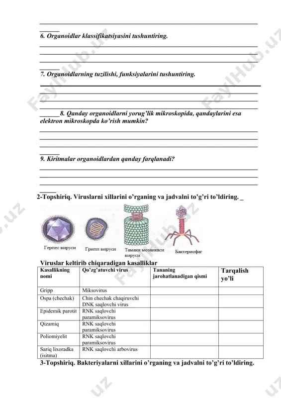 dlar klassifikatsiyasini tushuntiring. ____________________________________________________________________________________________________________________________________________________________________________________________________________ 7. organoidlarning tuzilishi, funksiyalarini tushuntiring. ____________________________________________________________________________________________________________________________________________________________________________________________________________8. qanday organoidlarni yorug’lik mikroskopida, qandaylarini esa elektron mikroskopda ko’rish mumkin? ____________________________________________________________________________________________________________________________________________________________________________________________________________ 9. kiritmalar organoidlardan qanday farqlanadi? ___________________________________________________________________________________________________________________________________________________________________________________________________________ 2-topshiriq. viruslarni xillarini o’rganing va jadvalni to’g’ri to’ldiring. _ viruslar keltirib chiqaradigan kasalliklar kasallikning nomi qo’zg’atuvchi virus tananing jarohatlanadigan qismi tarqalish yo’li gripp miksovirus ospa (chechak) chin chechak chaqiruvchi dnk saqlovchi virus epidemik parotit rnk saqlovchi paramiksovirus qizamiq rnk saqlovchi paramiksovirus poliomiyelit rnk saqlovchi paramiksovirus sariq lixoradka (isitma) rnk saqlovchi arbovirus 3-topshiriq. bakteriyalarni xillarini o’rganing va jadvalni to’g’ri to’ldiring. bakteriyalar keltirib chiqaradigan kasalliklar. kasallikning nomi qo’zg’atuvchi virus tananing jarohatlanadigan qismi tarqalish yo’li tuberkulyoz (sil) mycobacterium tuberculosis-tayoqchasimon bakteriya difteriya (bo’g’ma) coryne bacterium diphterine-tayoqchasimon bakteriya coclyush(ko’kyo’tal) bordetella pertussis-tayoqchasimon bakteriya gonoreya(so’zak) neisseria gonorrhoeae-kokksharsimon ba