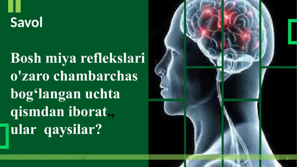 hosil qilinadigan shartli reflekslar, ya’ni bosh miya yarimsharlar nerv markazlari o‘rtasida paydo bo‘ladigan xilma-xil bog’lanishlarbilan bog‘liq. agar o‘rganilgan bilim takrorlanib turilmasa esdan chiqadi, ya’ni nerv markazlari o‘rtasidagi bog‘lanishlar uziladi. lekin bu bog'lanishlar yo'qolsa ham, ularning izi qoladi. shartli reflekslar shartsiz ta’sirlovchi bilan mustahkamlanib turilmasa, so‘na boshlaydi, ya’ni tormozlanadi. masalan, chiroq yoqilganidan so‘ng itga ovqat berilmasligi ketma-ket bir necha marta takrorlanadigan bo'lsa, chiroqning yoqilishi itda soiak ajralishi refleksini paydo qilmaydi. shartsiz va shartli reflekslar notanish ta’sirlovchi - chamalash refleksini hosil qiladi. chamalash refleksi boshqa organlarda qo‘zg‘alishni paydo qiladi, oldingi qo‘zg‘algan markazlar tormozlanish holatiga o‘tadi. masalan, quloqlarini ding qiladi, boshini burib qaraydi. it bosh miyasidagi ovqatlanish markazi tormozlanib, so‘lak ajralishi to‘xtaydi. mustahkamlash uchun savollar 1-savol tanaffusdan oldin o‘quvchilarning darsga c’tibon kamayib, «jonlanish» boshlanishi seziladi. 0‘qituvchimng maktab direktorining hozir sinfga kirishi to‘g‘risida xabari nlami tinchlantirdi. buning sababini tushuntirib bering. 2-savol nima uchun ovqatlanayotgan bolaning ishtahasi otasining tanbehidan so‘ng bo‘g‘ilib qoladi? 3-savol shartli reflekslar, …