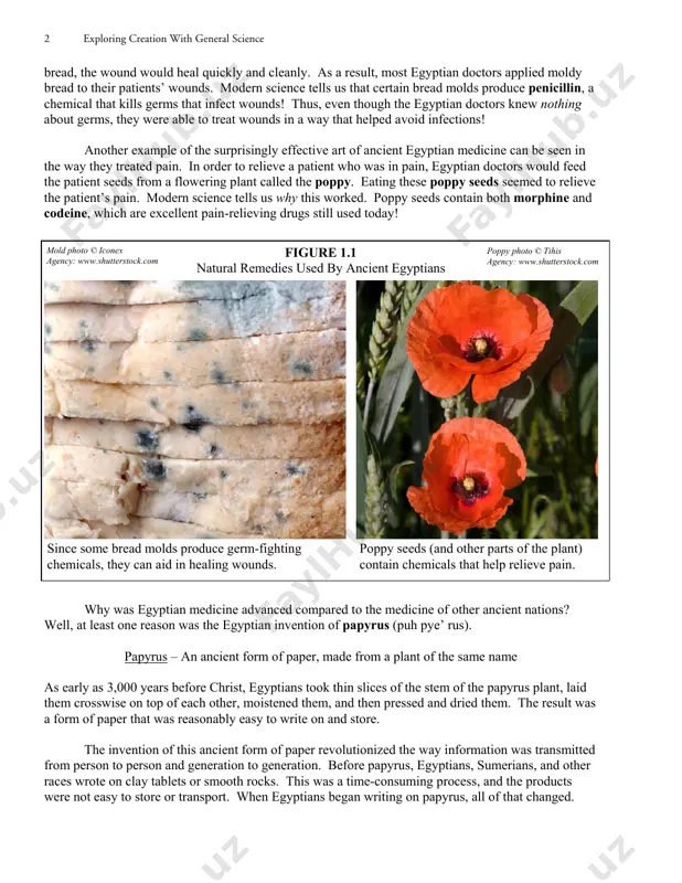 h science is heading today. in the end, then, no one should undertake a serious study of science without first taking a look at its history. that’s where we will start in the course. this module will provide you with a brief history of human scientific inquiry. if you do not like history, please stick with this module. you will start to sink your teeth into science in the next module. without a historical perspective, however, you will not fully appreciate what science is. the first inklings of science (from ancient times to 600 b.c.) some of the earliest records from history indicate that 3,000 years before christ, the ancient egyptians already had reasonably sophisticated medical practices. sometime around 2650 b.c., for example, a man named imhotep (eem’ oh tep) was renowned for his knowledge of medicine. people traveled from all over the middle east to visit imhotep, hoping he …