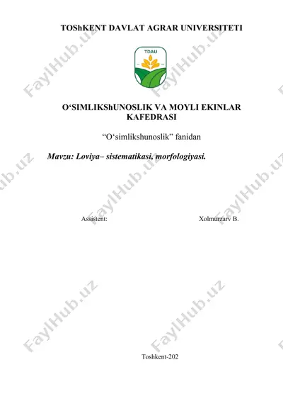 loviya– sistematikasi, morfologiyasi — DOCX