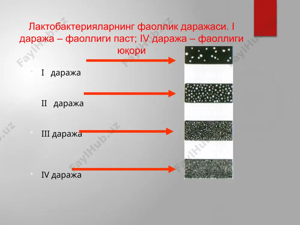 mavzu: turli shakldagi kariesni davolashning umumiy printsiplari. karies profilaktikasi. - Page 3