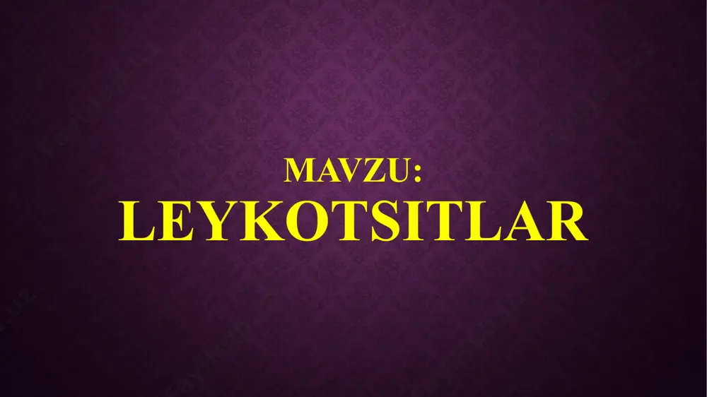 ge26.png image27.png image28.png image29.png image30.png image31.png image32.png image33.png image34.png image35.png image36.png /docprops/thumbnail.jpeg
