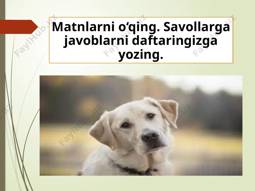 larni yoqtirmay qoldi? a) hasharchilar saranjomlikka rioya qilishmasdi. a) it ayvonda oyoq kiyimlar ko‘payishini istamasdi. b) hasharchilardan birining etigi noxush xotiralarni yodga solardi. 4. qaysi voqeani tasvirlashda retrospektiva usuli qo‘llangan? a) qizning kalishini kiyib paxtazorga ketishi b) itning bolalardan qochib etik ichiga yashirinishi c) bekaning itga tandirdan uzilgan issiq non berishi kuz ertasi. namgarchilik, xazon biqsib, tutun taralar. oyoq osti – “chilip-chilip”, zirqiraydi eski yaralar… ammo sen boq hayot dengiziga: u o‘jarlik bilan qilar ishini. razm solsang, har dam o‘ziga ming-ming iplar bilan bog‘laydi seni. fasllar almashar, dolg‘alanar havo, qarg‘alar tovushi – qishning daragi. trotuarda bukchaygan bir bobo yosh ko‘chat ko‘tarib o‘tib boradi. niholni avaylab mahkam ushlagan tomiri bo‘rtib chiqqan titroq qo‘llari xayolida balki olamni xushlagan bahor, bodroq-bodroq o‘rik gullari. ko‘m-ko‘k shovullashi balki qulog‘ida, ko‘ksi bilan sezar soya-salqinin. sovitgisi kelar ko‘ngil bulog‘ida saratonning lov-lov yolqinin. boboning umrida ko‘p bo‘lgandir baxt, lekin baxt o‘tkinchi, umid – abadiy. keksa qo‘llardagi mana shu …
