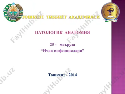 ичак инфекциялари — PPT