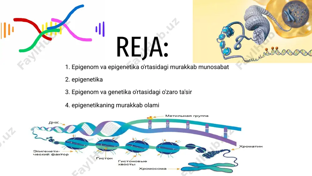 ikani tushunish murakkab biologik jarayonlarni ochish va atrof-muhit genetik tarkibimizga qanday ta'sir qilishini yoritishda muhim ahamiyatga ega. 4-slayd epigenom va epigenetika o'rtasidagi murakkab munosabatlarni o'rganadi. u tashqi omillar dnkning asosiy ketma-ketligini o'zgartirmasdan gen ifodasini qanday o'zgartirishi mumkinligini o'rganadi. 01 epigenomni tushunish kasalliklar va rivojlanish jarayonlarining mexanizmlarini ochishda juda muhimdir. bu atrof-muhit omillari bizning genetik tarkibimizda qanday qilib doimiy iz qoldirishi mumkinligiga oydinlik kiritadi. 02 epigenetika orqali tadqiqotchilar yangi terapevtik maqsadlar va shaxsiylashtirilgan davolash strategiyalarini ochishlari mumkin. genlar va atrof-muhit o'rtasidagi o'zaro ta'sir tibbiyot fanidagi potentsial yutuqlarni ochish uchun kalit hisoblanadi. 03 slayd 4 slayd 5 5-slayd epigenom va epigenetikaning gen ekspressiyasi va hujayra funktsiyasini tartibga solishdagi ahamiyatiga qaratilgan. bu omillarning belgilar va kasalliklarga qanday ta'sir qilishini tushuntiradi. 02 epigenomni tushunish gen faolligidagi dinamik o'zgarishlarni o'rganishda juda muhimdir. epigenetika, dnk metilatsiyasi va giston modifikatsiyasi kabi modifikatsiyalar orqali genlarni tartibga solishda hal qiluvchi rol o'ynaydi. 03 ushbu slaydda odamning epigenomini shakllantirishda genetik …