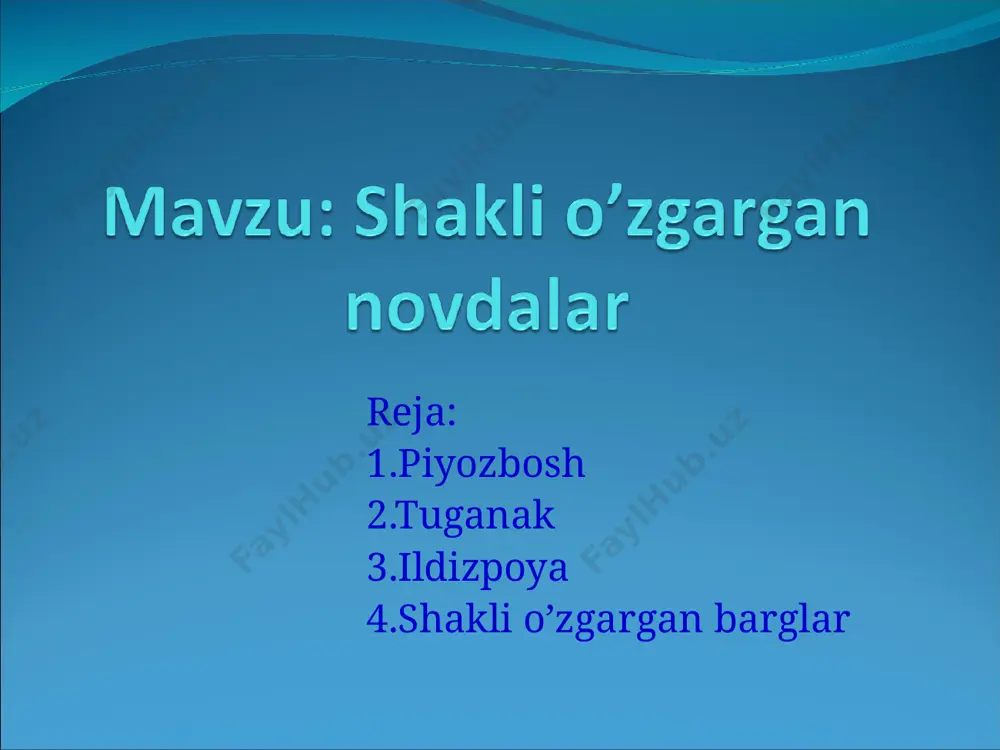 ari; 4-quruq qobiqlqri; 5-qo’shimcha ildizlari. tuganak shakli o’zgargan yer osti novda bo’lib , o’zida ko’p miqdorda oziq modda to’playdi. tuganak chuqurchalari-ko’zchalarida kurtaklar joylashgan bo’lib, ulardan yangi novda o’sib chiqadi agar kartoshka tuganagi kesib ko’rilsa , uning ichki tuzilishi poyanikidan farq qilmasligini ko’rishimiz mumkin tuganakli o’simliklar kartoshkagul kartoshka topinambur ildizpoya qo’shimcha ildiz, shakli o’zgargan barg va qo’shimcha kurtaklar bo’ladi. vegetativ ko’payish uchun xizmat qiladi ildizpoya o’zida ko’p miqdorda oziq moddalar to’playdi ildizpoyali o’zimliklar gulsafsar qamish g’umay shakli o’zgargan yerusti novdalar jingalaklar (qulupnay) gajaklar (bodring) tikan (do’lana) misol bo’ladi ular poyaning,novdaning o’zgarishidan hosil bo’ladi bargning shakl o’zgarishi- metamorfozi ba’zi o’simliklarning barglari o’zini shaklini o’zgartirib tikanga aylangan. masalan kaktus, zirk ilashib o’suvchi o’simliklarda barglar jingalakka aylangan. jingalaklar boshqa o’simliklarga ilashib, bargga yorug’lik tushishini ta’minlaydi. piyozbosh, karam, aloe barglari etli bo’lib,o’zida zahira oziq moddalarni saqlaydi. bargning shakl o’zgarishi zirkning tikanlari no’xotning gajaklari kaktusning tikanlari mavzuni mustaxkamlash uchun topshiriqlar 1-topshiriq .quyidagi jadvalga berilgan shakli o’zgargan …