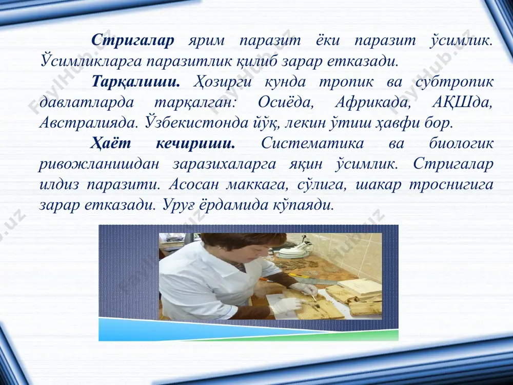 uzbekistonda tarqalgan ambruziyalar - Page 4