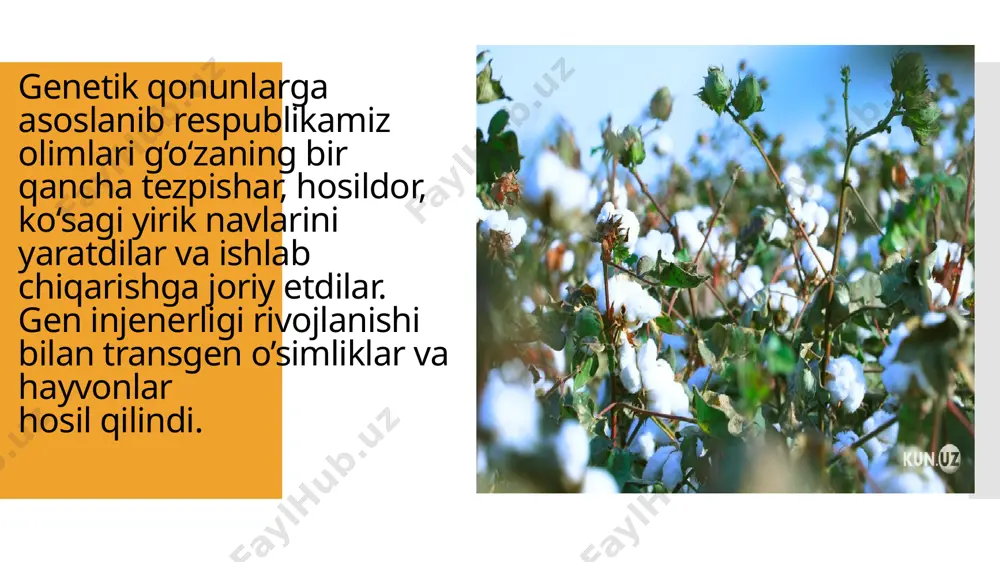 genetikaning nazariy va amaliy ahamiyati, dnk replikatsiyasi - Page 5