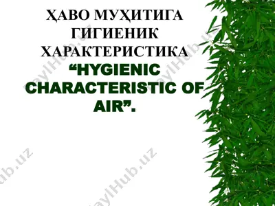 ҳаво муҳитига гигиеник характеристика — PPTX