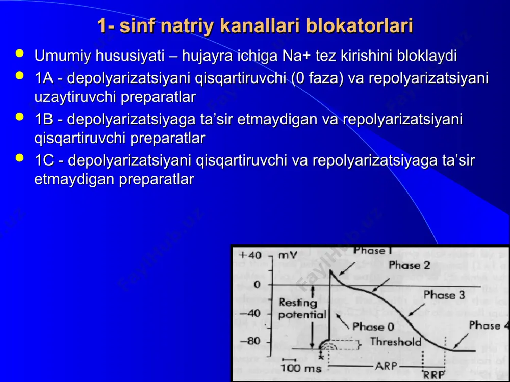 blokatorlar simpaatik nerv tizimining yurakka stimullovchi ta’sirini susaytiradi va natijada: - sinoatrial tugun avtomatizmini pasaytiradi; - atrioventrikulyar tugun avtomatizmi va o‘tkazuvchanligini susaytiradi - purkine tolalari avtomatizmini susaytiradi - harakat potensialining 0-fazasini sekinlashtiradi repolyarizatsiyani uzaytiradi qo‘llashga ko‘rsatmalar: • sinusli taxikardiya, ayniqsa psixoemotsional stress fonida • qorincha usti paroksizmal taxikardiyasi • tireotoksikozdagi aritmiyalar • qorinchalar taxikardisi, ayniqsa miokard infarkti o‘tkazgan bemorlarda yoki dilatatsion kardiomiopatiyada • qorincha usti va qorincha ekstrasistoliyasi • xilpillovchi aritmiyaning doimiy turida yuqsni nazorat qilish uchun • miokard infarkti o‘tkazgan bemorlarda qorinchalar fibrilyasiyasi profilaktikasi uchun • qt intervalning tug‘ma uzayishi. asosiy nojo‘ya ta’sirlari: yuqs kamayishi; atrioventrikulyar o‘tkazuvchanlikni susayishi; bronxlar tonusi oshishi; periferik tomirlar tonusi oshishi; glyukozaga tolerantlikni pasayishi. 3 - sinf kaliy kanallari blokatorlari bu guruh preparatlari repolyarizatsiyani sekinlashtirib harakat potensiali davomiyligini oshiradi antiadrenergik hususiyatga ega va membranining ionlar uchun o‘tkazuvchanligiga ta’sir etmaydi erd davomiyligini uzaytiradi * amiodaron amiodaron (kordaron) kaliy kanallarini bloklaydi va yurak o‘tkazuchi tizimida repolyarizatsiya jarayonlarini …