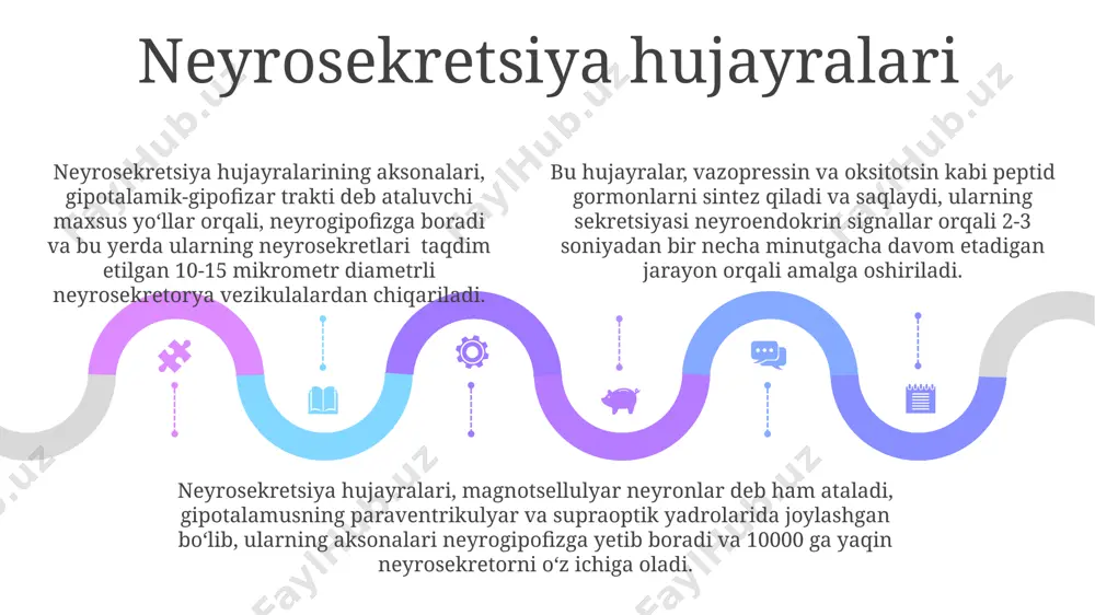 gipotalamus neyrosekretsiyaning strukturaviy asoslari - Page 5