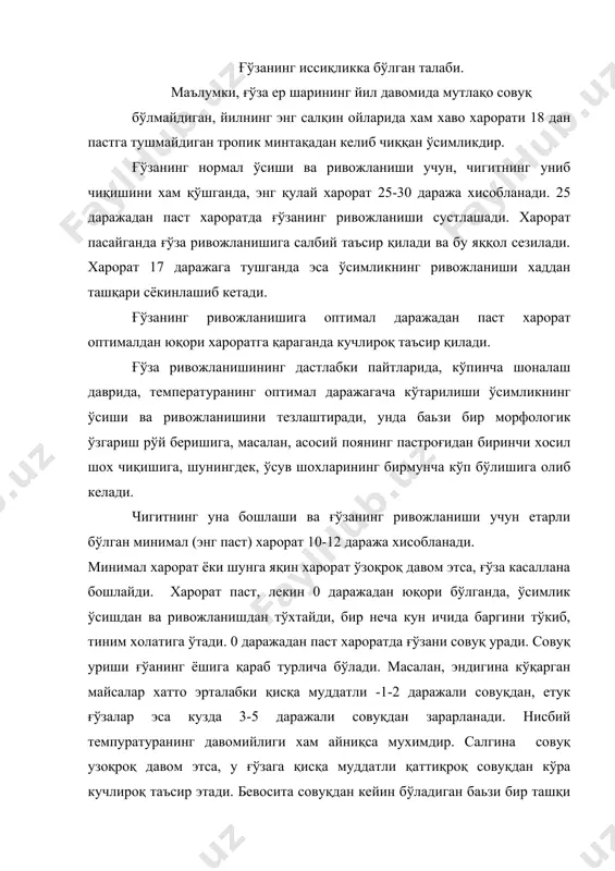 уқдан кейин бўладиган баьзи бир ташқи шароитлар, жумладан, ғўзанинг сояда қолиб кетиши, хаво намлиги, шамол ва бошқа факторлар хам унга ёмон таъсир қилади. ғўзанинг турига ва навига қараб совуқ турлича таъсир этади. масалан, ингичка толали ғўза турига мансуб навлар ўрта толали ғўза навларига нисбатан қора совуққа бирмунча чидамлироқ бўлади. ғўзанинг ёввойи турлари ичида шундайлари хам борки, улар қисқа муддатли -5-8 хатто -10 даражали совуққа бемалол чидайди. ғўзани ёруғликка бўлган талаби ғўза фақат очиқ офтоб тушиб турадиган ёруғ жойлардагина яхши ривожланади. ғўзанинг барг сатхи (пластинкаси) кун бўйи қуёшга қараб ўз холатини ўзгартиради, кечқурун- қуёш ботиши билан барглар пастга эгилиб олади. ғўзанинг эндигина униб чиққан уруғпалласида хам бутун кун бўйи худди юқоридаги ходиса кўзатилади. ёруғлик етишмай қолганда, масалан, дарахт соясида ёки осмонни қалин булут қоплаганда ғўза суст ривожланади, мева тугиш даври бошланганда ёруглик етишмаси ғўзада кўплаб шона ва тугунчалар тўкилади. ғўза фақат дарахт соясидагина эмас балки унга ёруғлик етишмайди. шу муносабат билан …
