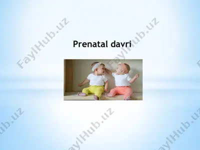prenatal davri — PPTX