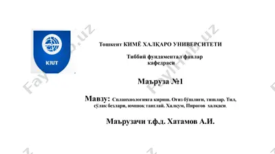 спланхнология — PPTX