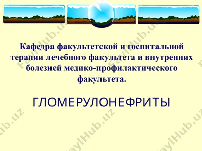 гломерулонефриты — PPT