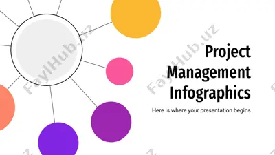 project management infographics — PPTX