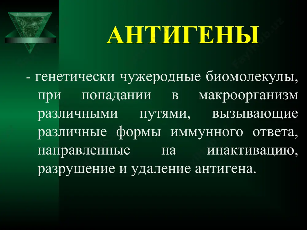 гических видов – микробов, человека, животных). - феномен открыт д. форсманом (1911 г.) - известно более 100 пар: антигены стрептококков и антигены сарколеммы миокарда и базальной мембраны почек человека; липиды treponema pallidum и липиды миокарда млекопитающих и т.д. классификация микробных антигенов по специфичности групповые – общие у организмов одного биологического вида (у микробов), но не имеющих генетического родства (escherichia coli и shigella dysenteriae). классификация микробных антигенов по специфичности типовые (индивидуальные) – общие для генетически идентичных микроорганизмов, по которым можно отличить штаммы одного вида (серовары, серотипы). streptococcus pneumoniae – 90 серотипов, shigella boydii – 18 серотипов, rinoviruses – 117 серотипов, haemophilus influenzae – 6 серотипов. практическое применение антигенов практическое применение антигенов практическое применение антигенов практическое применение антигенов практическое применение антигенов практическое применение антигенов антитела иммуноглобулины международная аббревиатура ig (анг. immunoglobulin) определение термина антитела – гликопротеины с определенными физико-химическими свойствами, присутствуют в сыворотке крови, других биологических жидкостях, специфически взаимодействуют с антигенами, синтезируются …