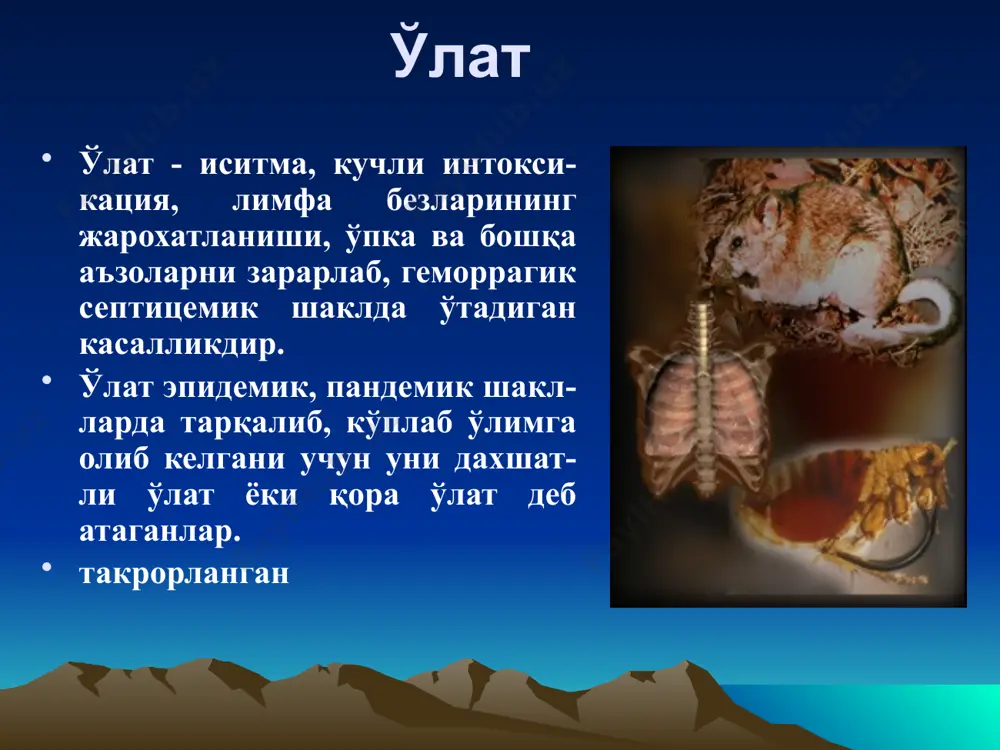 й истеъмол килиш. 4. аэроген- улатни упка тури билан касалланган беморлар билан мулокатда булганда юкади. одамларда улат касаллигига мойиллик юкори- касаллик индекси 1 га якин. эпизоотия эпизоотия эпизоотия юқиш йўли касаллик бургалар орқали юқади. уларнинг 120 дан ортиқ тури бор. касалланган кемирувчи қонини сўрган бурганинг жиғилдонида ўлат микроби кўпайиб, тиқилиб (блок) қолганидан сўнг у касалликни бошқа ҳайвонларга юқтира олади, шунда «кемирувчи-блок-кемирувчи» халқаси ҳосил бўлади. 8 тридцать видов блох известны как переносчики y. pestis. с целью защиты в пищеварительном канале блохи, y pestis вырабатывает фосфолипазу d (pld), которая делает микроорганизм устойчивым к цитотоксичным пищеварительным продуктам плазмы крови в пищеварительном канале блохи. y pestis приобрела ген pld на каком то этапе развития в прошлом, что позволило ей трансформироваться из достаточно слабого патогена кишечника в возбудителя генерализованной инфекции. after a flea initially ingests y pestis, the organisms elaborate a coagulase that clots ingested blood in the proventriculus (an organ between the esophagus and …