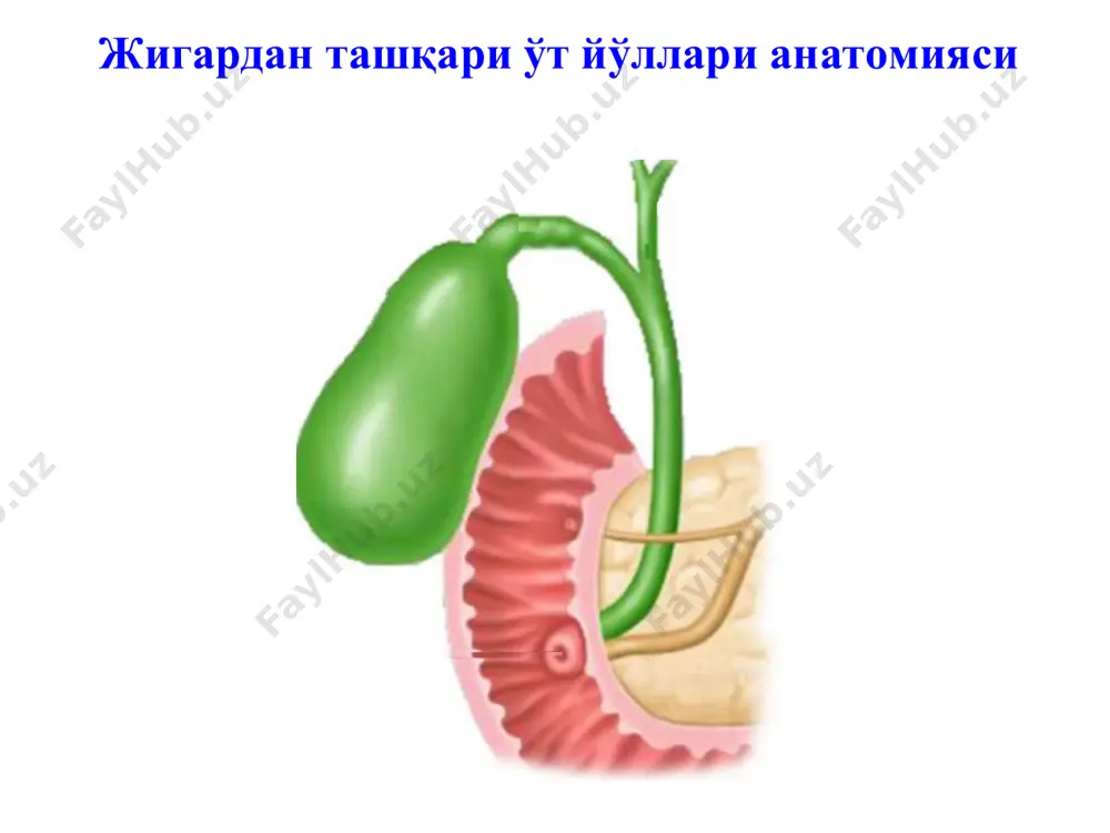 ktrolit bo'zilishda parhez va mevali sharbatlar yordamida korrektsiya qilish ma'qul. jigarda tsitoliz boshlanganda gepatoprotektoralar tavsiya qilinadi (legalon, essentsiale, geptral). subkompensatsiya bosqichi detoksikatsion davo (gemodez, neokompensan) elektrolit buzilishlarni korrektsiyasi oqsil etishmovchiligini korrektsiyasi (albumin, plazma va b.) qon ivishini buzilishini korrektsiya qilish (vikasol, aminokapron kislotasi, ditsinon, trombotsitar massa). medikamentoz davolash dekompensatsiya bosqichi reanimatsiya va intensiv davo bo'limida davolash zarur limfo- yoki gemosorbtsiya, me'da-ichak traktini tozalash (oshqozon yuvish, sifonli ho'kna) kortikosteroidlar katta dozada tavsiya qilish (prednizolon, gidrokortizon) proteolitik fermentlarni tavsiya etish (trasilol, kontrikal, gordoks) mexanik sariqlikda jigar va buyrak etishmovchiligi bilan kechadigan xolatlarda bir bosqichda biliar sistemani dekompressiya qilish tsitolizga olib kelishi mumkin va mavjud bo'lgan jigar va buyrak etishmovchiligini kuchaytirishi mumkin ikki bosqchili davolashni zarurligi i bosqich drenajlash miqdorli dekompressiya poliorgan etishmovchilikni bartaraf qilish 2 bosqichga (safroni 12 b.i. normal passajini tiklash) o'tishga ko'rsatmalar bilirubin miqdorini 40 mkmol/l pasayishi, transaminazalarni 1,5 mmol/l pasayishi, mochevina, kreatinin, elektrolitlar, koagulogrammani norma bo'lishi, umumiy oqsil miqdorini …