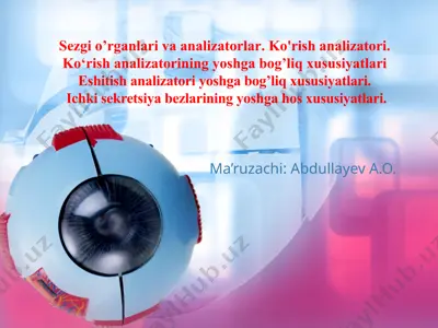 sezgio’rganlarivaanalizatorlar — PPTX