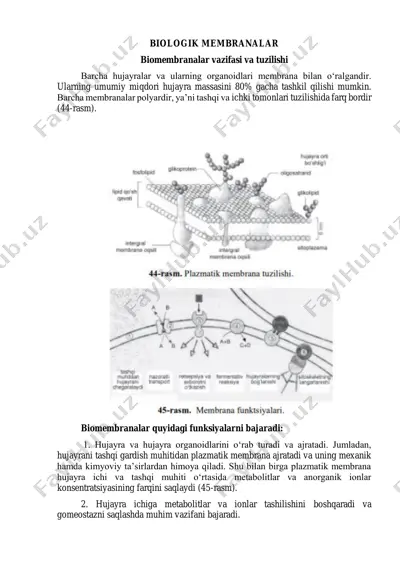 biologik membranalar — PDF