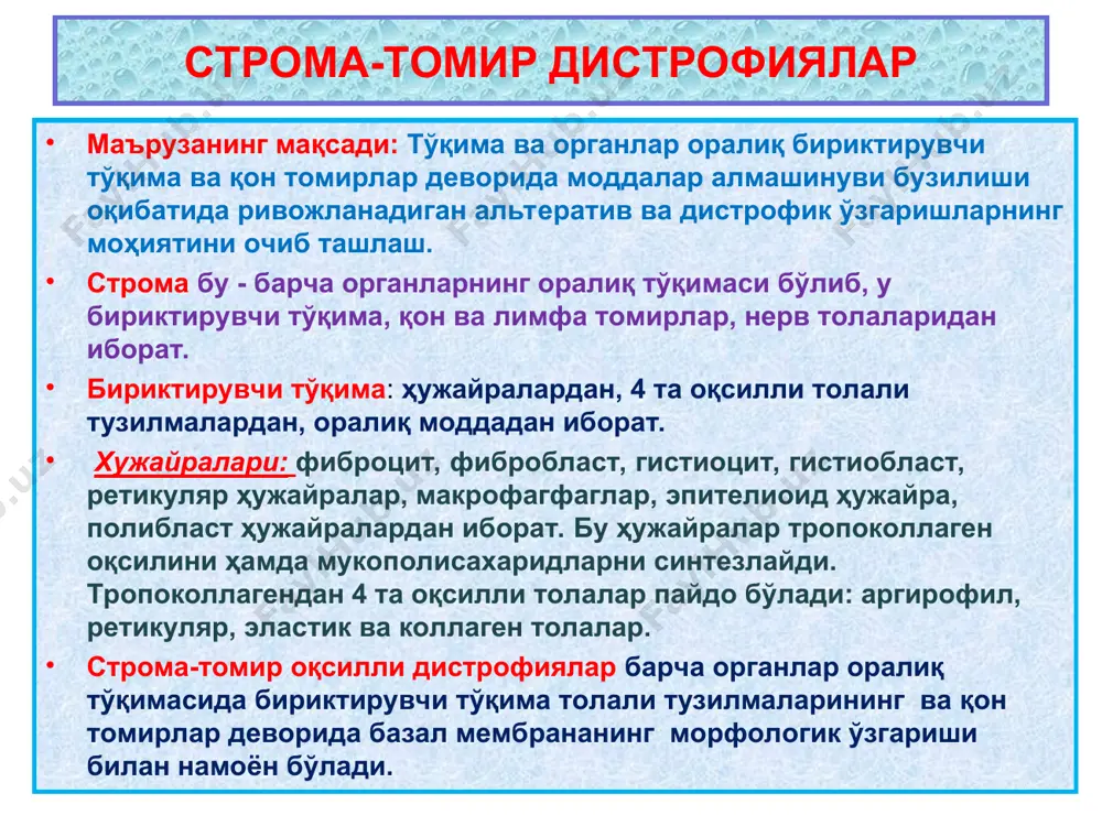 um» - «крахмал» дегани. оқсиллар синтези бузилиб, аномал оқсил синтезланиши. мукоид бўкишнинг морфогенетик механизми строма-томир дистротеинозлар мукоид бўкиш 1.ревматизмда томир девори нордон гликазамингликанлар тўпланишидан, гидрофиллик, сув шимиши, метахромазия оқибатида қалинлашган. 2.ревматик эндокардитда юрак қопқоқчаси мукоид бўкишга учраб, метахромазияланиб, қалинлашган, лимфогистиоцитар инфильтрат. * фибриноид бўкишнинг морфогенетик механизми строма-томир дистротеинозлар фибриноид бўкиш а.бириктирувчи толалари бўкиб, плазма оқсиллари шимилиб, фибрин толаларига ўхшаб қолган – фибриноид бўкиш б. буйрак коптокчаси капиллярлар базал мембранаси фибриноид некрозга учраб қалинлашган, пиронинли қизилга бўялган. * гиалиноз пайдо бўладиган жараёнлар строма-томир дистротеинозлар гиалиноз гипертония касаллигида - бош мия артерияси девори гиалиноз ҳисобига қалинлашиб, гомогенлашган, ичи торайган, атрофида ҳужайралар пролиферацияси мавжуд. 2. гипертония касаллигида – буйрак каптокчаси капиллярлар девори гиалиноз ҳисобига қалинлашган, гомогенлашган. * строма-томир дистротеинозлар гиалиноз талоқ пардаси гиалинози қалинлашган, оқарган, ярим-ялтироқ тоғайга ўхшаб қолган жигар пардаси гиалинози қалинлашган, оқарган, ярим-ялтироқ тоғайга ўхшаб қолган * строма-томир дистротеинозлар амилоидоз 1.талоқ амилоидози – “сагосимон талоқ” –тўқимасида майда донадор тариқсимон қаттиқ дағал …
