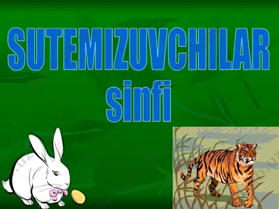 sutemizuvchilar sinfi (test slayd) — PPTX