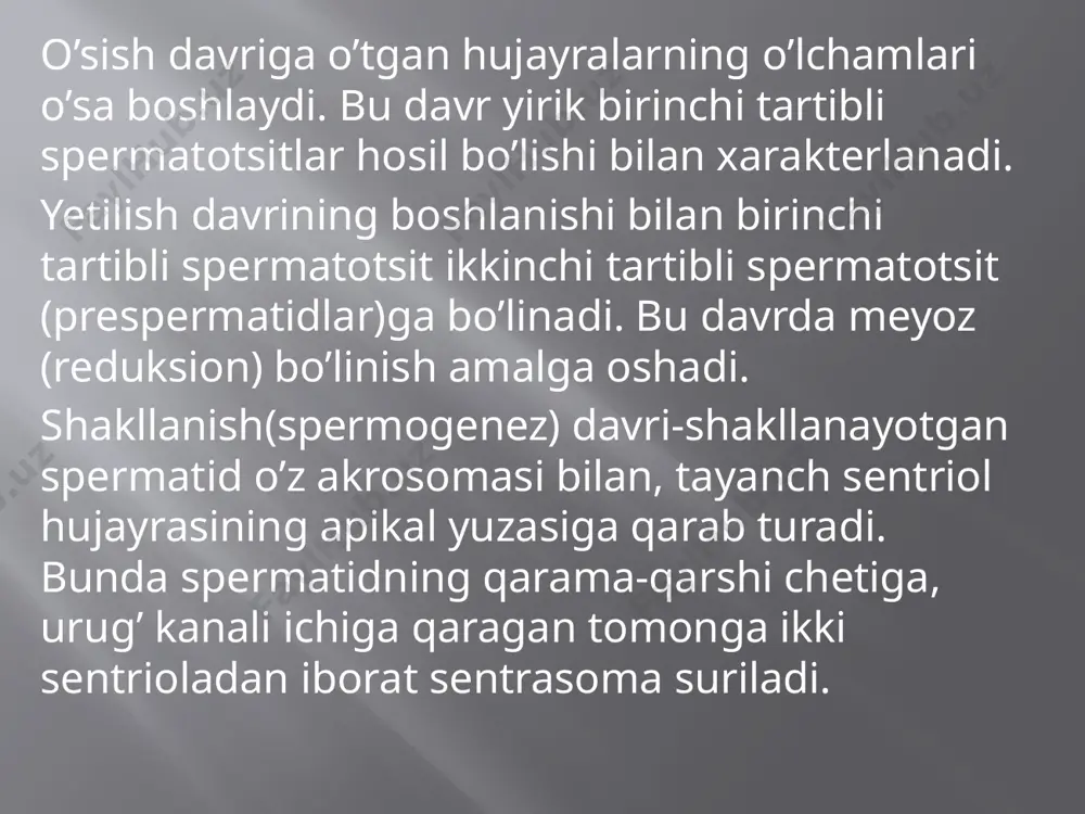 erkaklar jinsiy a’zolari - Page 5