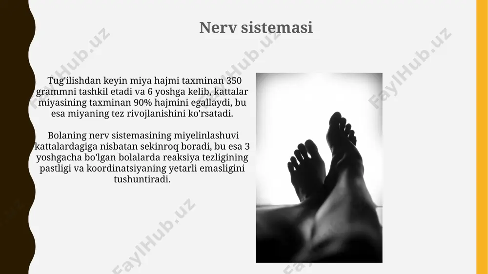 bolalar gavda tuzilishining hususiyatlari - Page 4