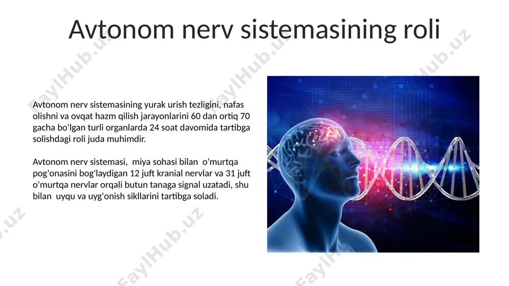 nerf sistemasi va kasalliklar - Page 5