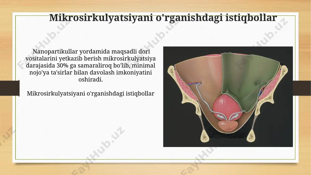 mikrotsirkulyasiya haqida tushuncha - Page 5