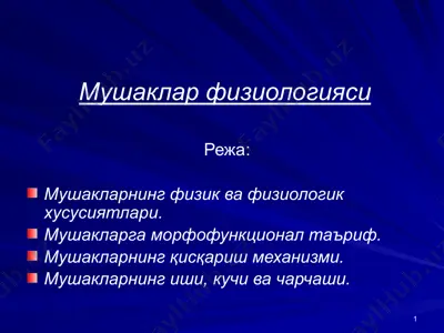 мушаклар физиологияси — PPTX