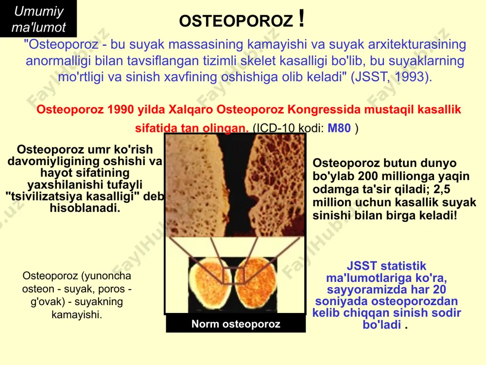 yib ovqatlanmaslik, asabiy anoreksiya, dietada kaltsiy etishmovchiligi; spirtli ichimliklarni suiiste'mol qilish, qahva); v) iatrogenik (kortikosteroidlarni, antikonvulsanlarni uzoq muddat [ 1 oydan ortiq ] qo'llash bilan ; uzoq muddatli [ 3 oydan ortiq ] geparin terapiyasi; radiatsiya terapiyasi..); d) gipodinamiya (uzoq muddat immobilizatsiya, gipodinamiya bilan); / m80.2 / d) buyrak (surunkali buyrak etishmovchiligida, buyrak tubulyar atsidozida); e) enteral (malabsorbtsiya sindromida, oshqozon rezektsiyasidan keyin); g) revmatik (revmatoid artritda, tizimli qizil yugurukda). b. morfologik belgilariga ko‘ra: a) trabekulyar; b) kortikal; c) aralash. b. yoriqlar mavjudligi bilan: a) asoratlanmagan (sinishlarsiz); b) murakkab / og'ir (agar kamida bitta sinish bo'lsa) osteoporozning asosiy turlari umumiy ma'lumot osteoporozning barcha shakllarining taxminan 85% ni tashkil qiladi umumiy ma'lumot suyakning tuzilishi va tarkibi shimgichli suyak markaziy suyak iligi bo'shlig'i qon tomirlari suyak iligi shimgichsimon (trabekulyar) modda kortikal (ixcham) modda osteon kortikal suyak kortikal suyak (kb) va trabekulyar suyak (tb) bir xil hujayralar va matritsadan hosil bo'ladi, lekin uning ohaklanish …