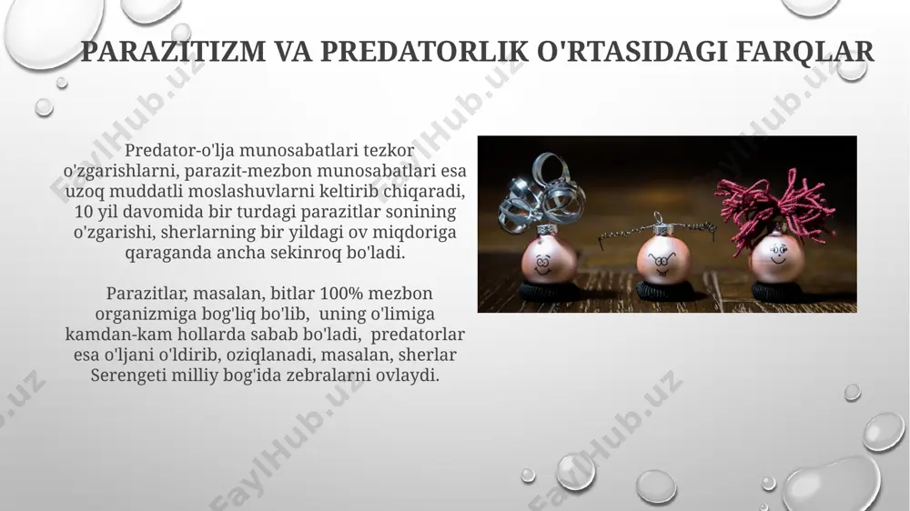 minlashda muhim rol o'ynaydi, masalan, serengeti milliy bog'ida. parazitizmning ekologik ahamiyati hayvonot dunyosida parazitizm, 70% dan ortiq turlarni qamrab olib, biologik xilma-xillikni saqlash va oziq-ovqat zanjiri muvozanatini ta'minlashda muhim rol o'ynaydi, masalan, afrikaning serengeti tekisligida. o'simlik parazitlari, masalan, 100 dan ortiq turdagi zamburug'lar, dunyo bo'ylab 50% ga yaqin ekinlarning hosildorligiga salbiy ta'sir ko'rsatib, qishloq xo'jaligiga katta zarar yetkazishi mumkin. predatorlikning turlari ba'zi yirtqichlar, masalan, avstraliyaning katta oq akulasi kabi, 1000 kg dan ortiq og'irlikdagi o'ljani ushlashi mumkin, bu ularning jismoniy kuchini va ovchilik strategiyasini ko'rsatadi. yirtqichlarning 30% dan ortig'i, masalan, afrikaning serengeti tekisligidagi sherlar, o'lja hayvonlarining suruviga hujum qilib, guruh bo'lib ov qiladi, bu ularning ov qilish samaradorligini oshiradi. e'tiboringiz uchun rahmat @taqdimot_robot image3.png image4.jpg image5.jpg image6.jpg image7.jpg image8.jpg image9.jpg image10.jpg image11.jpg image12.jpg image13.jpg image14.jpg image15.jpg image16.jpg image17.jpg image18.jpg image1.png