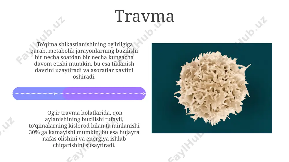 to'qimalar va ularning ta'siri - Page 4