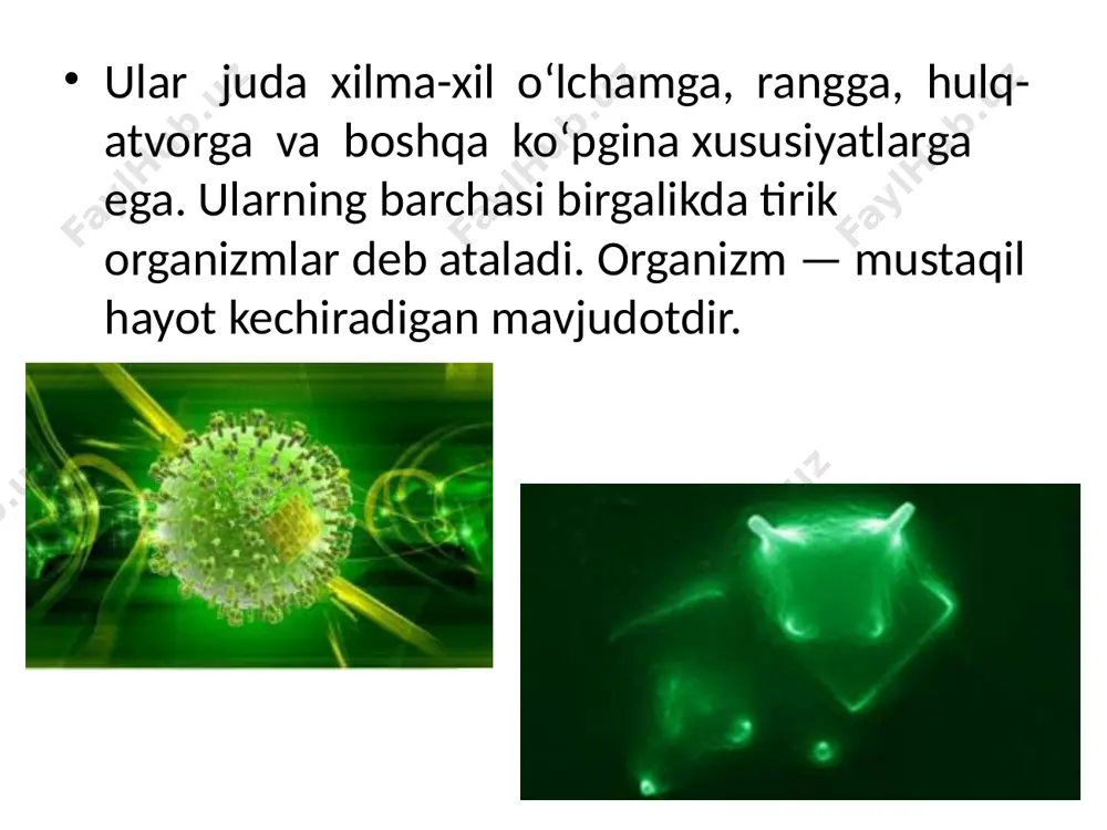 akatda degan iborani ishlatamiz. haqiqatdan ham shunday. barcha tirik organizmlar, ayniqsa, barcha hayvonlar doimiy harakatda bo‘ladi. hayvonlar o‘ziga ozuqa topish va xavf-xatardan saqlanishi uchun faol harakatda bo‘lishi zarur. harakatla nish — tirik organizmlar uchun xos bo‘lgan muhim xususiyatlardan biridir. o‘simliklar ham harakatlanish xususiyatiga ega, chunki barglar ham quyosh nurlarini «tutishi» kerak. ammo ularning harakati juda sekin ro‘y bergani uchun deyarli bilinmaydi. tirik organizmlarning muhim xususiyatlaridan yana biri ko‘payishdir. ushbu xususiyat tiriklikning eng zaruriy omili hisoblanadi va shuning uchun ham sayyoramizda hayot davom etib kelmoqda. ko‘payish orqali tirik organizmlar o‘zi uchun xos bo‘lgan yana bir muhim xususiyat —irsiyat va o‘zgaruvchanlikni amalga oshiradi. organizmlarning o‘zini o‘zi tiklashi jinsiy va jinssiz ko‘payish jarayonlarida namoyon bo‘ladi. ma’lumki, tirik organizmlar ko‘payganida odatda avlodlar ota-onalarga o‘xshash bo‘ladi. bug‘doy donidan bug‘doy o‘sib chiqadi. itlardan kuchukchalar tug‘iladi. bir hujayrali amyoba hujayrasi bo‘linishidan ona hujayraga to‘liq o‘xshash bo‘lgan ikkita yosh amyoba hosil bo‘ladi. shunday qilib ko‘payish organizmlarning o‘ziga o‘xshashlarni …