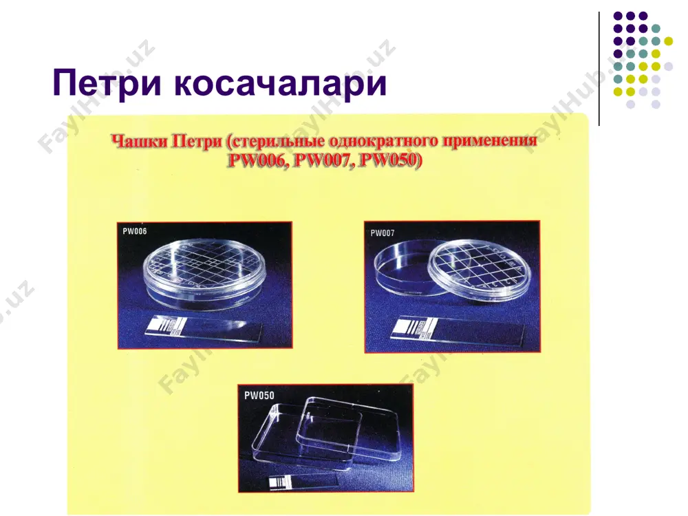 бактерияларнинг хаёти фаолияти махсулотлари - Page 4