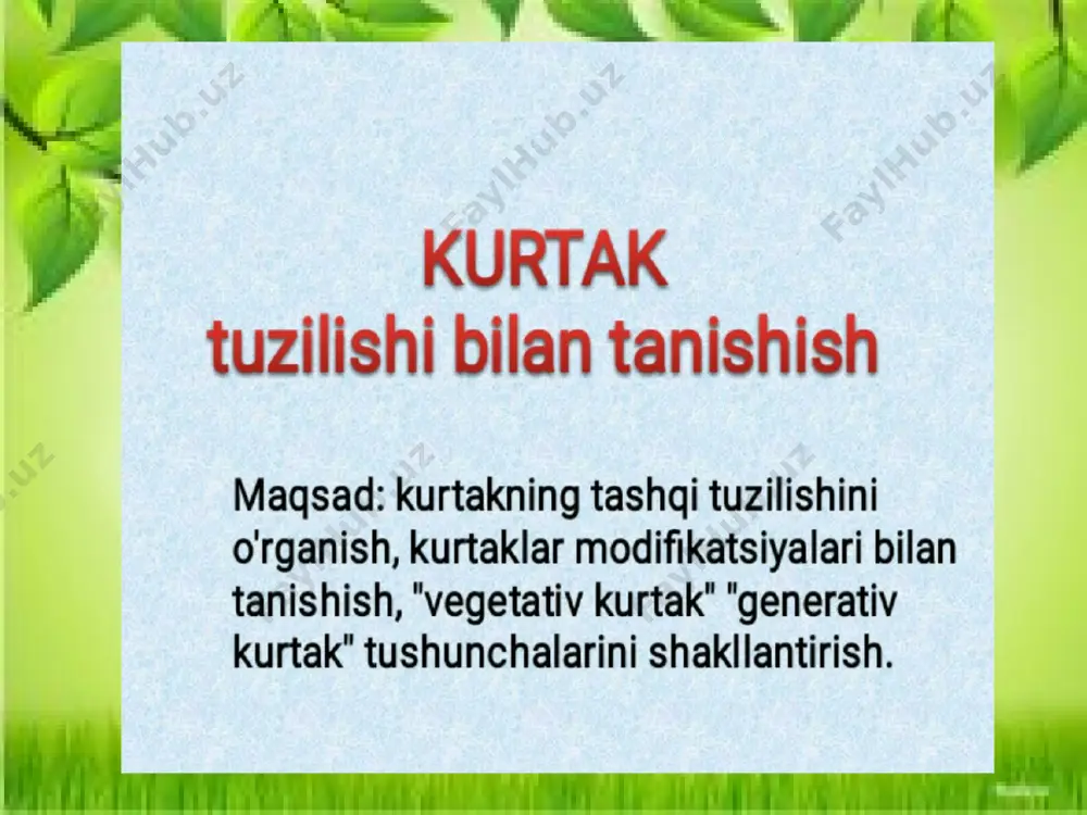 -------- kurtaklaming bo‘rtib, yangi barg yoki gul chiqarishi ma’lum bir vaqt ichida o‘tadi. bu davr ---------------------deyiladi. erta bahorda o‘rik, shaftoli, bodom kabi o‘simliklarda dastlab generativ so‘ngra vegetativ kurtaklari yoziladi. o’quvchilarni baholash; uyga vazifa: mavzuni o’qib, mavsu oxiridagi savollarga javob yozish, kurtakning rasmini chizib kelish. test tuzib kelish (5 ta) e’tiboringiz uchun rahmat! ochiq darsdan lavhalar image1.jpeg image2.jpeg image3.jpeg image4.png image5.jpeg image6.jpeg image7.jpeg image8.jpeg image9.jpeg image10.jpeg image11.jpeg image12.jpeg image13.jpeg image14.jpeg image15.png image16.jpeg image17.png image18.png image19.png image20.png image21.jpeg image22.jpeg image23.jpeg image24.png image25.png image26.png image27.png image28.png image29.png image30.jpeg image31.png /docprops/thumbnail.jpeg