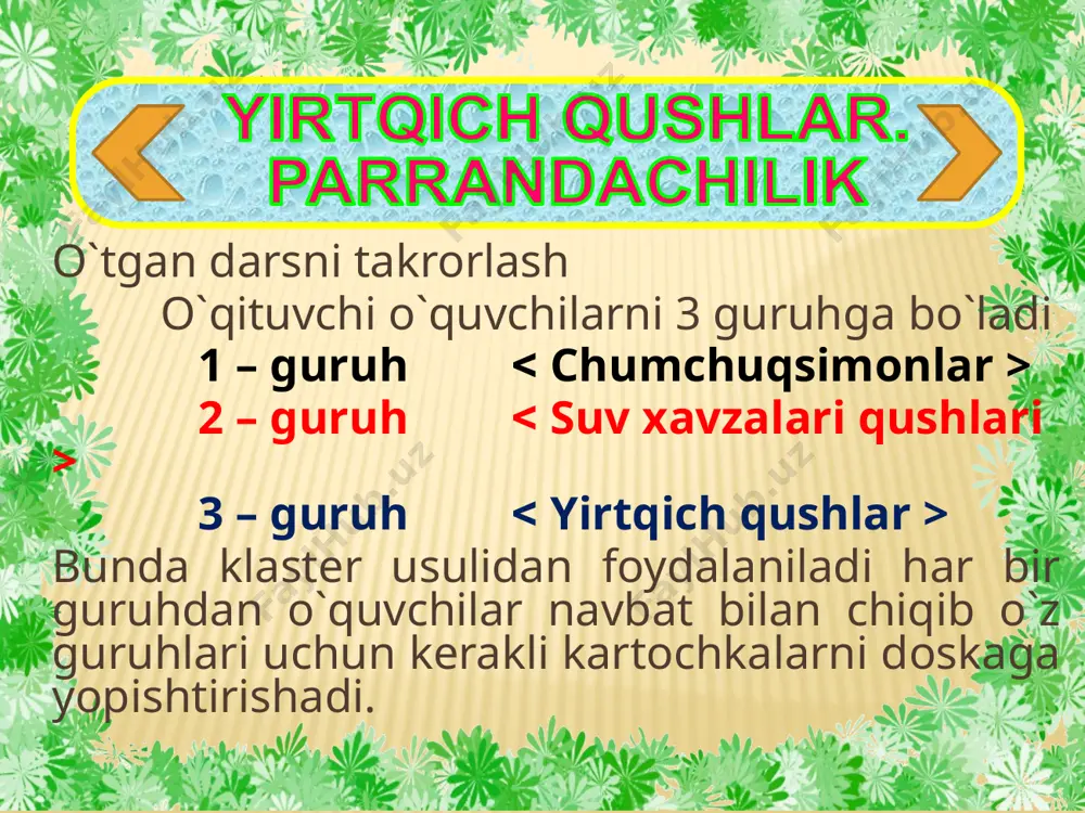 yirtqich qushlar va parrandachilik darsi - Page 5