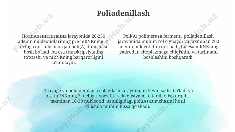 irnk ning protsessingi jarayonini tushuntirish - Page 4